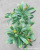 Simulation Fake Leaves Plastic Leaves Candle Leaves Plant Leaves Engineering Decoration Mini Pot Plant Bonsai Wholesale