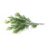 Simulation Plant Fake Leaves Rosemary Shrub Bonsai Photography DIY Background Pastoral Floor-Standing Decorations Factory Wholesale