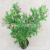 Artificial Plants Asian Plants Pine and Cypress Trees Green Plants Evergreen Tree Leaves Pine Cypress Leaf Fake Pine Engineering Decorative Leaves