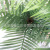 Simulation Coconut Leaf Arecaceae Tropical Plant Leaf 5 Rod Coconut Leaf Fruit Tree Fake Trees American Home Decoration Wholesale