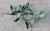 Artificial Plant Fake Trees Leaf Fragrant Camphor Leaf Four-Fork Three-Dimensional Camphor Leaf White Edge Leaf Shooting Landscape Engineering Wholesale