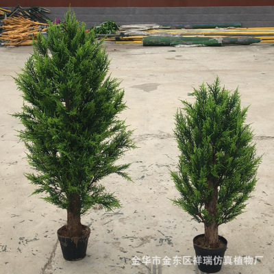 Xiang Rui  Simulation Plant Cypress Branch Cypress Tree Christmas Leaf Beauty Pine Tree Pot Small Cypress Leaf Podocarpus Macrophyllus Pot Pine Sales