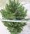 Artificial Fir Leaf Plant Qinling Spruce Metasequoia Pot Minjiang Fir Fruit Leaves Xing'an Larch Tree Wholesale