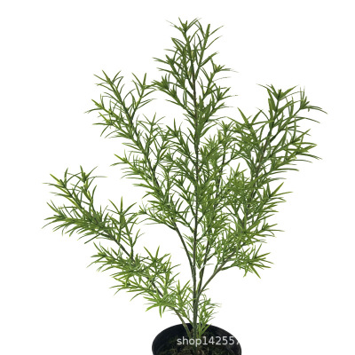Simulation Plant Fake Leaves Rosemary Shrub Bonsai Photography DIY Background Pastoral Floor-Standing Decorations Factory Wholesale