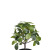 2021 New Simulation Green Plant Fu Mini Banyan Leaf Plant Photography Background Leaf Engineering Decoration Factory Wholesale