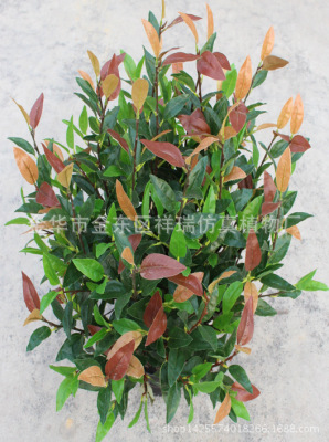 Simulation Plant Floor Bonsai 0.7 Beige Red Leaves Fake Leaves Olive Leaf Shrubs Laurel Leaves Ornament Furnishing Batch