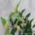 Emulational Plants and Flowers Yellow Flower Water Dragon Flower Fake Leaves DIY Background Shooting Decoration Wetland Engineering Wholesale