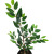 Simulation Sink Myrcia White Wood Myrcia Shrub Green Plant Fake Leaves Project DIY Screen Ornament Furnishing Factory Wholesale