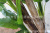 Xiang Rui Simulation Japanese Banana Leaf Tree Banana Leaf Five Pole 2.7 M Tropical Plant Leaf Tree Ground Bonsai Living Room Wholesale