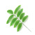 2021 Artificial Palm Leaf Plant Walnut Leaf Single Stem Accessories Feather Sunflower Leaf Ground Bonsai Factory Wholesale Decoration