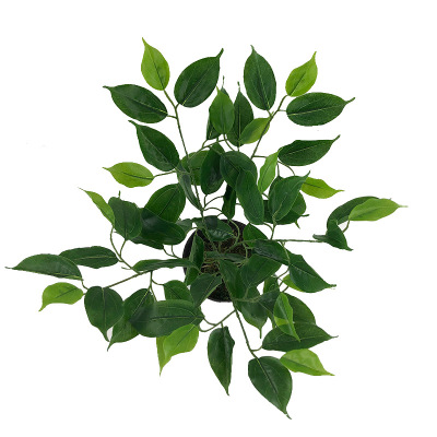 Artificial Plant Fake Camphor Tree 6 Fork Three-Dimensional Camphor Leaf Photography Background DIY Wall Engineering Ornament Furnishing Factory Wholesale