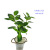 New Online New Artificial Plant Tree Red Plum Folium Nelumbinis Five-Fork Branch Light Shooting Engineering Decoration Factory Wholesale