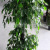 Simulation Lamination Leaves Fake Trees Green Ficus Leaves Ground Bonsai Evergreen Green Plants Residential Landscaping Indoor and Outdoor Decoration Wholesale