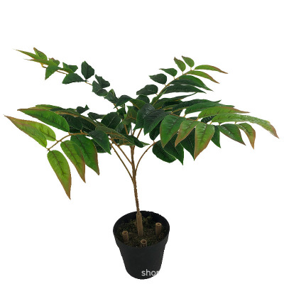 Simulation Fake Leaves of Toona Sinensis Tree Three-Dimensional Six-Fork Branch Geely Leaves Green Plant Creative Screen Ornament Furnishing Factory Wholesale