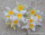 Artificial Forsythia Flower Single Stem Forsythia Plant Leaves Silk Flower Ground Bonsai Multi-Color Decorative Factory Wholesale Bouquet