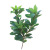 Artificial Plum Leaf Bayberry Leaf Poplar Leaf Green Plant Locust Tree Shrub Bonsai Poplar Flower Tree Ornament Furnishing