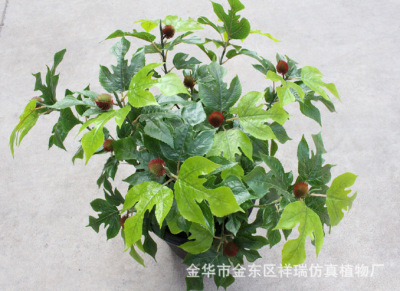 Simulation Plant Valley Branch Leaf Tree Valley Mulberry Peach Tree Leaf Structure Leaf Engineering Museum Set Shooting