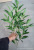 Simulation Greenery Bonsai Geely Leaf Tree Beautiful Different Wood Cotton Leaf Five Fork Branch Fake Wood Cotton Leaf Pot Wholesale
