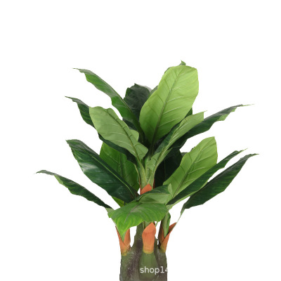 Xiang Rui Artificial Palm Leaf Plant Five Fork Tree Head Canna Leaf Tree Accessories Feather Sunflower Leaf Ground Bonsai Wholesale Decoration