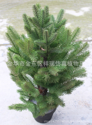 Artificial Fir Leaf Plant Qinling Spruce Metasequoia Pot Minjiang Fir Fruit Leaves Xing'an Larch Tree Wholesale