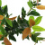Simulation Plant Red Leaf Shrub Green Plant Leaves Olive Fruit Leaf Laurel Engineering Background Ornament Furnishing Factory