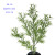Simulation Plant Fake Leaves Rosemary Shrub Bonsai Photography DIY Background Pastoral Floor-Standing Decorations Factory Wholesale