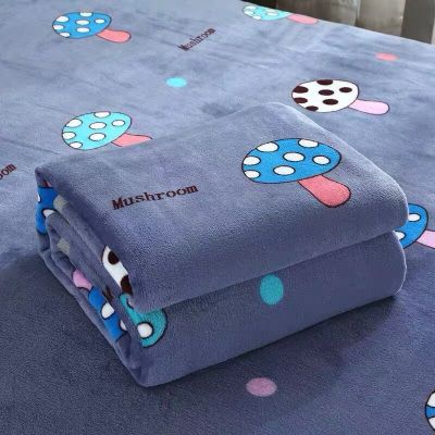 Direct Selling Thickened Flannel Double-Sided Blanket 