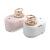 New Suspension Double Ring Humidifier Home Office Mini Car Aromatherapy Nebulizer Creative Gifts Cross-Border