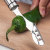 304 Stainless Steel Pepper Corer Green Pepper Seed Remover Heart-Removing Artifact Core Removed Kitchen Gadget