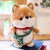 Cute Shiba Inu Doll Travel Puppy Plush Toy Away from Home Cat Doll Doll Birthday Gift