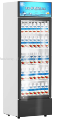 Ison Display Cabinet/Vertical Display Cabinet/Vertical Freezer/Beer Beverage Cabinet