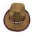 Factory Direct Sales Summer Children's Top Hat Fashion Casual Straw Mat Back Warped Men's Hat Sun-Shade Beach Hat