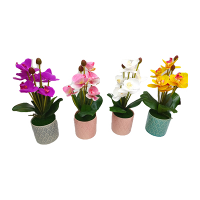 Stall Simulation Flower Pot Batches of Indoor Decoration Flower Ornaments Bonsai Simulation Green Plant Color Ceramic Phalaenopsis