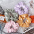 New Japanese and Korean Large Intestine Ring Fresh Sweet Simple All-Match Hair Ties Cotton Floral Rubber Band Tie Hair Accessories Juxin