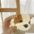New Style Plush Toy Cute Dog Soothing Doll Keychain Bag Ornaments Pencil Case Headdress Accessories