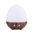 Cross-Border Egg Type Diffuse Wood Grain Timing Night Light Aroma Diffuser Essential Oil Spray Mini USB Air Humidifier Fragrance