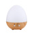 Cross-Border Egg Type Diffuse Wood Grain Timing Night Light Aroma Diffuser Essential Oil Spray Mini USB Air Humidifier Fragrance