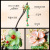 New Ethnic Style Blackwood Two-Tone Glass Hairpin Archaistic Headdress Creative Style Hairpin All-Match Hair Accessories Wholesale
