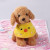 Factory in Stock Wholesale Chick Bib Pet's Saliva Towel Dog Bib in Various Colors