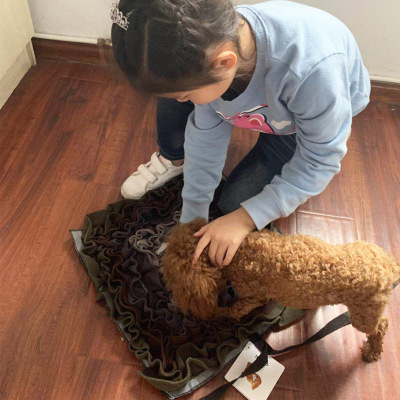 Pet Sniffing Mat Play Mat Dog Training Blanket Foraging Mat Pet Interactive Sniffing Mat Wholesale Spot