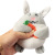 Pet Sound Toy Pet Dog Hide and Seek Sound Plush Toy Mouse Cartoon Carrot House Set Wholesale