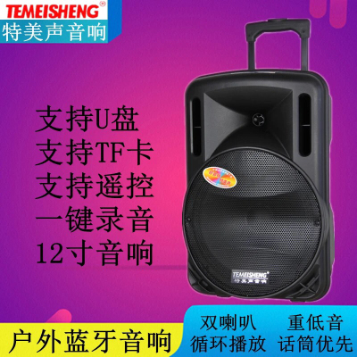 Audio Temeisheng High Power Outdoor Sound Box Portable Wireless Microphone Trolley Mobile Square Dance Card