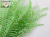 ANNIELU Natural touch artifical leaf Pteridophyte Leaves Chr