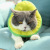 Adjustable Elizabeth Collar Cat Toast Bread Collar Pet Anti-Licking Ring Sterilization Cat Collar Anti-Scratch Bite