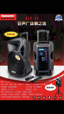 Audio Temeisheng Brand High-Power A12-12 Outdoor Square Dance Choice