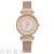 2021 Fashion Diamond Ball Scale Dial Casual Women's Watch Simple Women's Elegant Milan Strap Wrist Watch