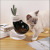 New Oblique Cat Bowl Cat Food Holder Cat Ear Bowl Oblique Transparent Single Bowl Cat Bowl Pet Bowl in Stock Wholesale