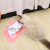 Pet Food Basin Mat Cloud Cat's Paw Silica Gel Pad Easy to Clean Pet Cat Coasters Dinning Table Placemat Spot