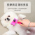 Pet Comb Dog Cat Hair Removal Brush Pet Supplies One-Click Hair Removal Cat Comb Cross-Border Pet Cleaning Brush