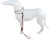 Processing Customized Pet Hand Holding Rope Lengthened Dog Leash Reflective Pet Supplies Amazon